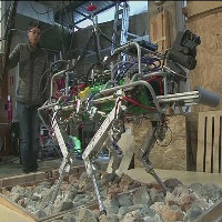 Italy phát triển loại robot bốn chân cho các vùng bị thảm họa