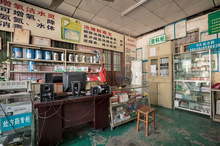 Người Trung Quốc đang đưa cả thế giới “từ bàn ăn ra nghĩa địa” như thế nào?