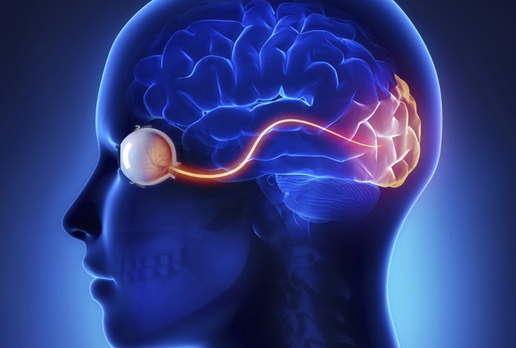 Mất thị lực sau tai nạn chấn thương não là khá phổ biến.
