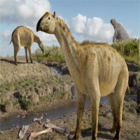 Hóa thạch "con lai" voi và ngựa ba triệu năm tuổi