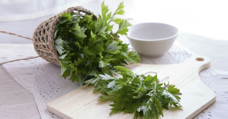 Sự thật thú vị về cây ngải cứu