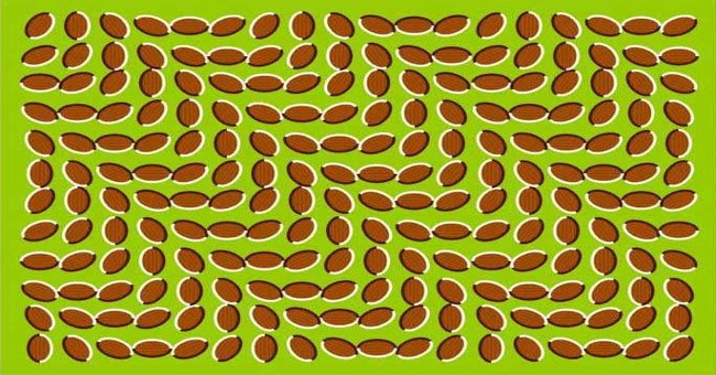 Ảo ảnh khiến ảnh tĩnh như đang chuyển động