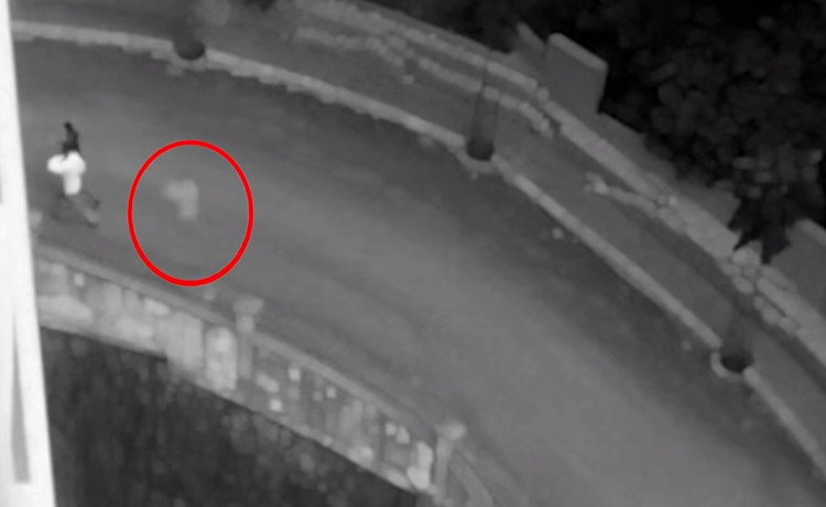 Một bóng trắng bám theo sau cặp đôi. 