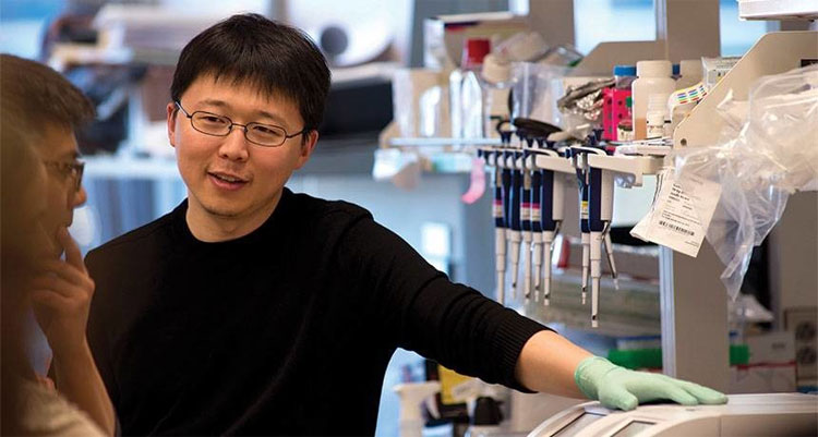 Feng Zhang - một trong những nhà khoa học xuất sắc nhất thế giới đương thời