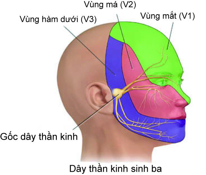 Nhiều người mỗi khi ăn đồ quá lạnh lại bị 