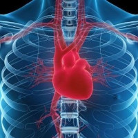 Liệu trên đời có căn bệnh nào mang tên "Ung thư tim"?