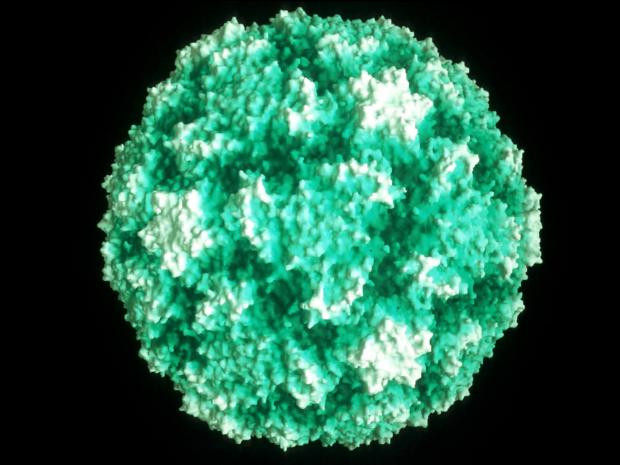 Một nhà khoa học vừa đăng kí bản quyền cho vaccine chống cảm lạnh