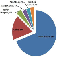 Phân tích ADN sốc: Phần lớn người Ai Cập không phải gốc Arab