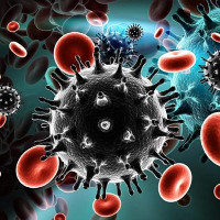 Phát hiện kháng thể trung hòa virus HIV