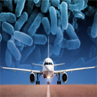 Từ chuyến du lịch, đã có nhiều người mang vi khuẩn kháng kháng sinh về nhà