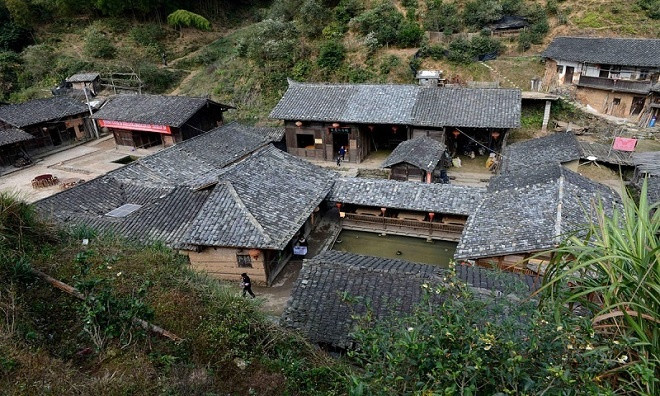 Bí ẩn ở ngôi làng không có một con muỗi suốt trăm năm