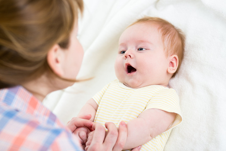 Giải mã thói quen ai yêu chó cũng làm mỗi khi nhìn thấy chó con