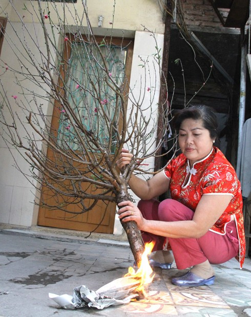 Người người mua đào là đốt gốc nhưng liệu bạn có biết sự thật này?