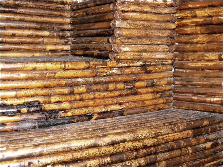 Ngôi nhà làm từ giấy báo không mục nát sau trăm năm