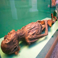 Bí ẩn xác ướp hoàng gia 2200 tuổi nghiện ngập và thích xăm trổ đã được hé mở