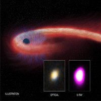 Lần đầu phát hiện siêu hố đen nuốt gọn một ngôi sao