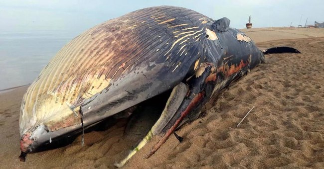 Tổng hợp tin tức hay nhất tuần 03/02/3017