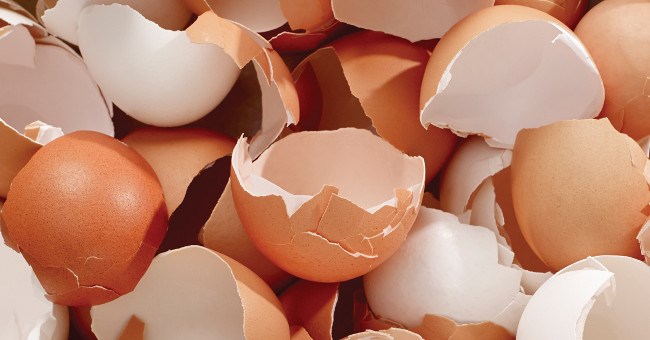 Video: Những lợi ích khi ăn vỏ trứng