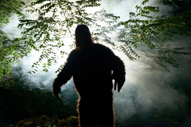 Loạt dấu chân khổng lồ trên tuyết, nghi là của quái vật Bigfoot