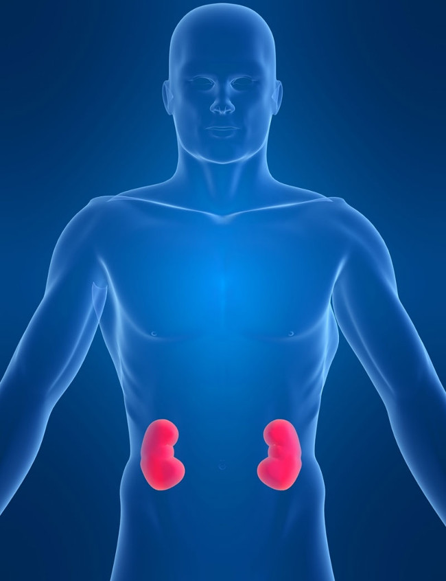 Viêm cầu thận cấp: Triệu chứng, nguyên nhân và cách phòng tránh