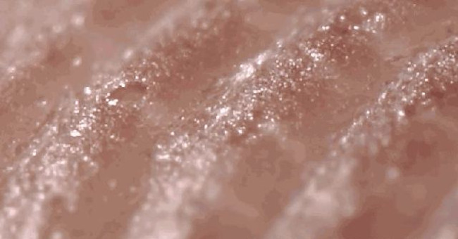 Trên những đường vân tí hon tại đầu ngón tay của mỗi người có đến hàng ngàn tuyến mồ hôi nhỏ gần như vô hình.