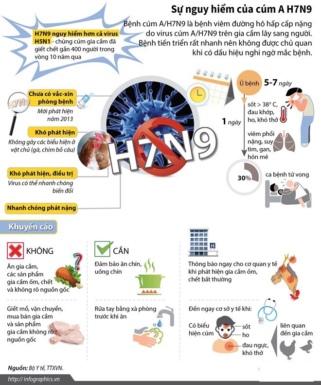Sự nguy hiểm của virus cúm gia cầm A/H7N9