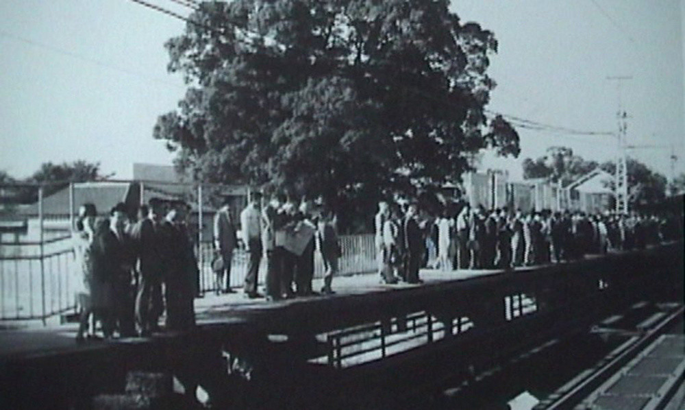 Khi ga Kayashima đi vào hoạt động vào năm 1910, cây long não đã ở đó che nắng mưa cho hành khách.