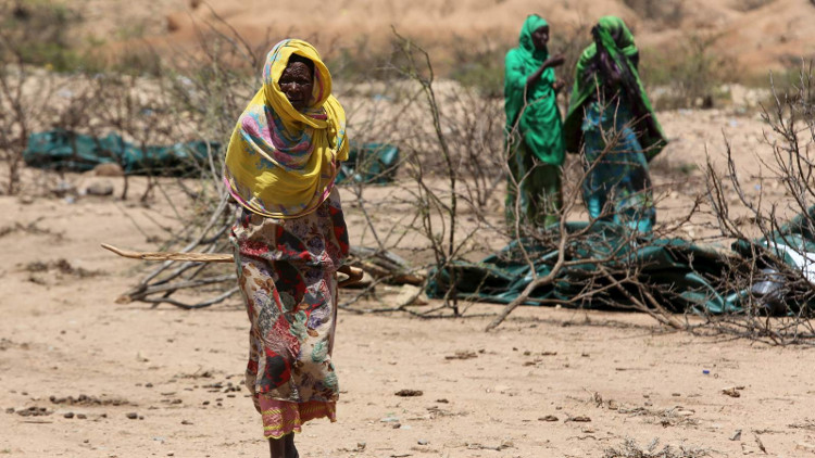 Hạn hán ở Somalia: 110 người chết trong 48 giờ
