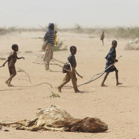 Hạn hán ở Somalia: 110 người chết trong 48 giờ