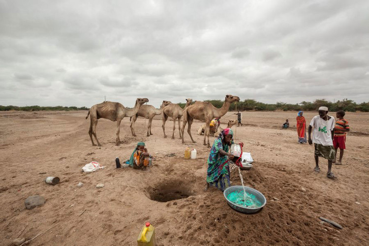 Hạn hán ở Somalia: 110 người chết trong 48 giờ