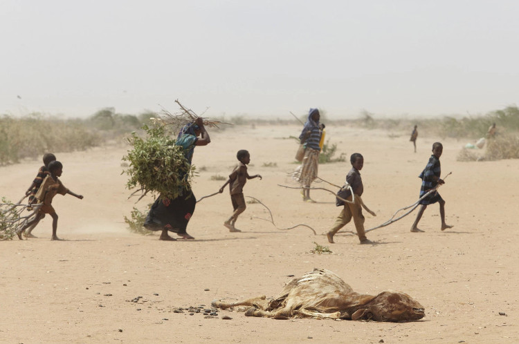 Hạn hán ở Somalia: 110 người chết trong 48 giờ