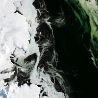 Điều bí ẩn nào khiến cho lớp băng ở Nam Cực có màu xanh?