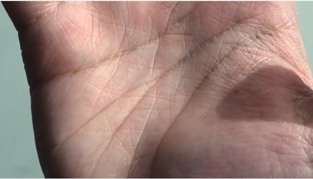 Đường chỉ tay hình thành ở bào thai sau khoảng 12 tuần tuổi