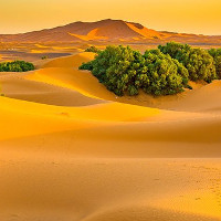 Phải chăng chính con người đã biến Sahara thành sa mạc?