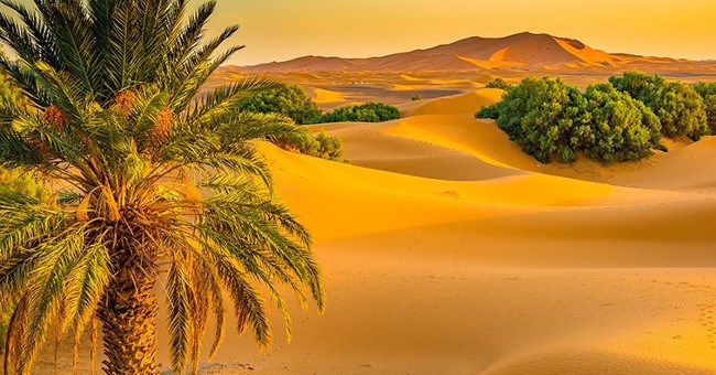 Phải chăng chính con người đã biến Sahara thành sa mạc?