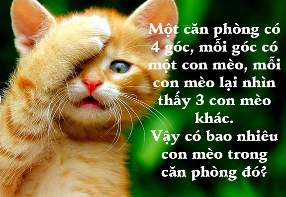 6 câu đố dành cho con nít nhưng không ít người lớn phải 