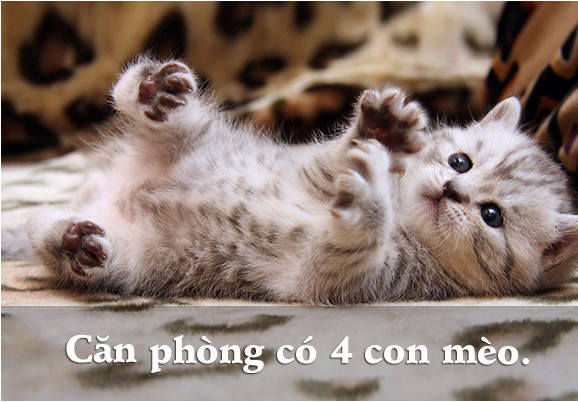 6 câu đố dành cho con nít nhưng không ít người lớn phải 