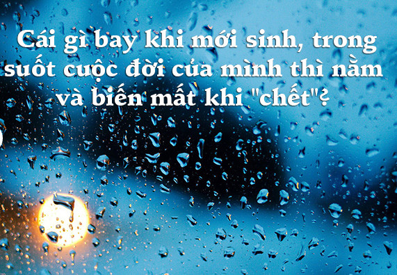 6 câu đố dành cho con nít nhưng không ít người lớn phải 