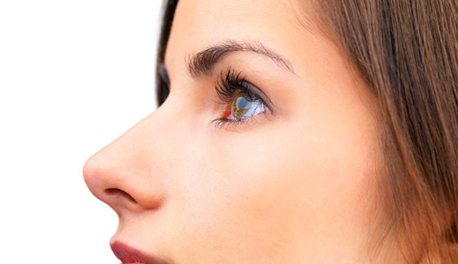 Hình dáng mũi của con người hình thành dựa trên từng loại điều kiện khí hậu nhất định.