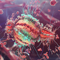Đã có thể phát hiện tế bào T nhiễm HIV đang "ngủ đông", mở ra hy vọng trị tận gốc