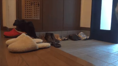 Vì sao người Nhật Bản, Hàn Quốc... luôn cởi giày trước khi vào cửa?