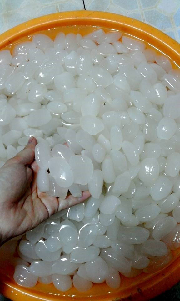 Khám phá tác dụng tuyệt vời của hạt đác với sức khỏe