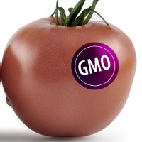 Cách nhận biết thực phẩm biến đổi gene GMO