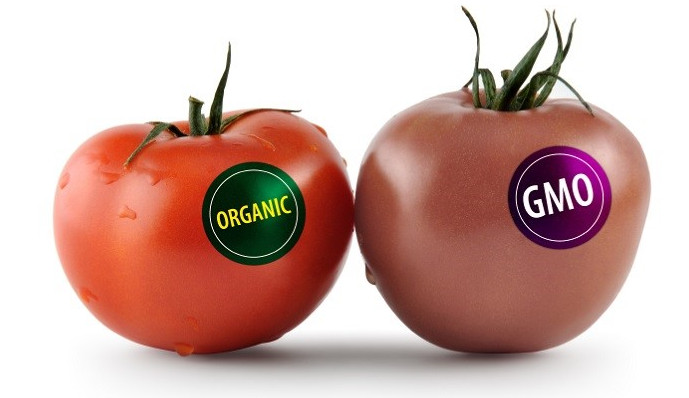 Cách nhận biết thực phẩm biến đổi gene GMO