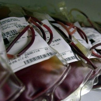 Đã tìm được cách sản xuất máu nhân tạo trên quy mô công nghiệp
