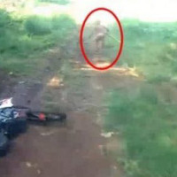Video: Một chú lùn bị phát hiện và bỏ chạy trong khu rừng Indonesia