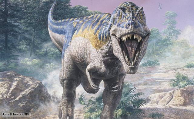 Khủng long bạo chúa T-rex cũng biết 
