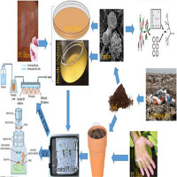 Trung Quốc phát hiện loại nấm có khả năng "tiêu hóa" nhựa dẻo