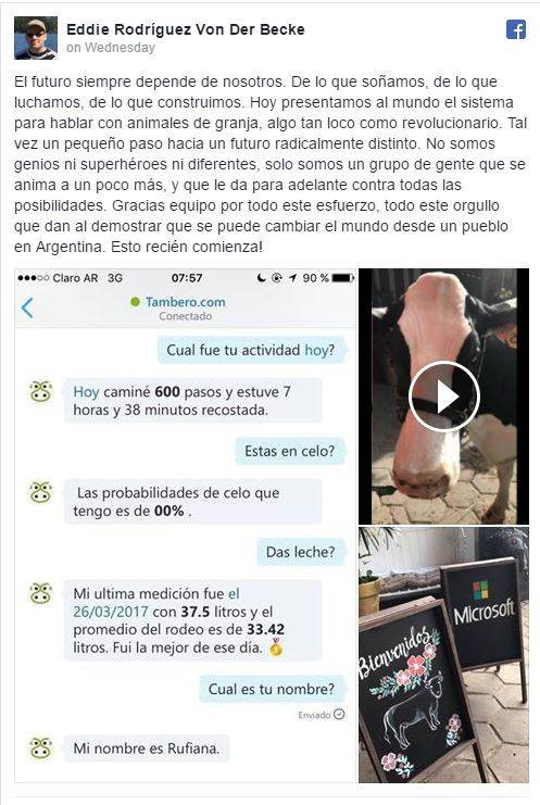 Microsoft có ứng dụng cho phép nông dân chat được với bò