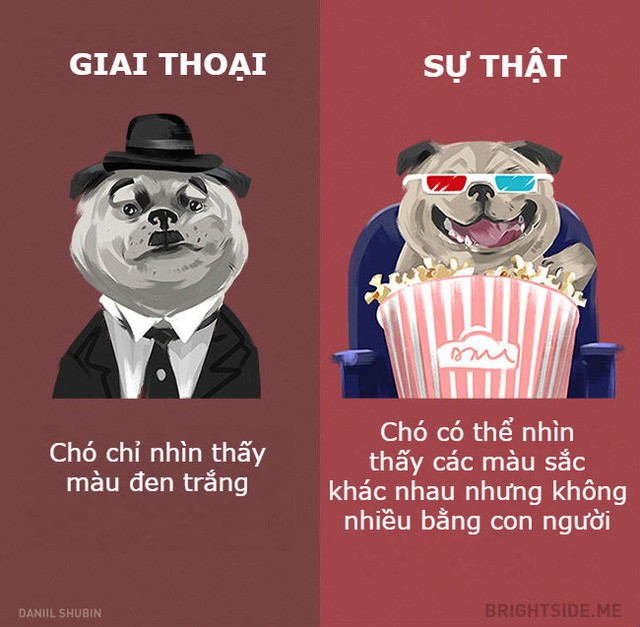 Những giai thoại không nên tin khác về các loại động vật